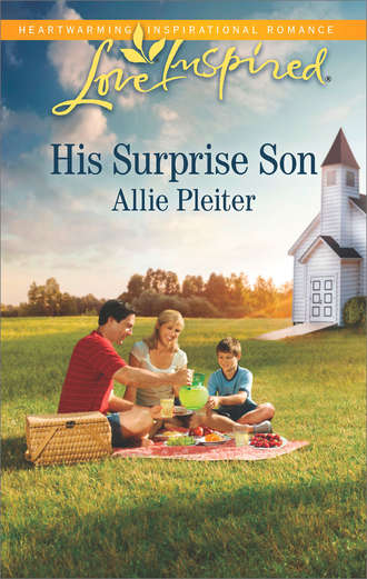 Allie  Pleiter. His Surprise Son