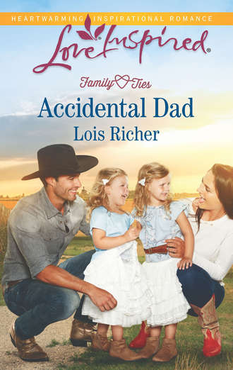 Lois  Richer. Accidental Dad