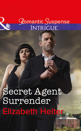 Elizabeth  Heiter. Secret Agent Surrender