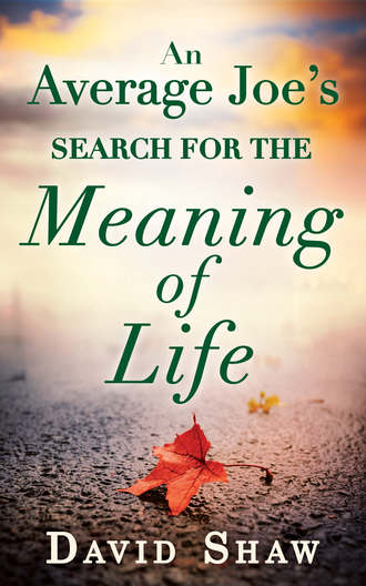 David Shaw. An Average Joe's Search For The Meaning Of Life