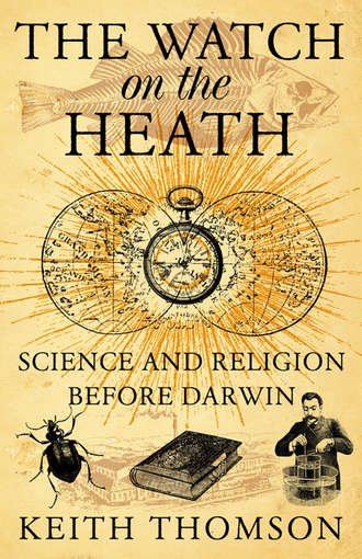 Keith  Thomson. The Watch on the Heath: Science and Religion before Darwin