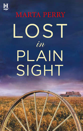 Marta  Perry. Lost in Plain Sight