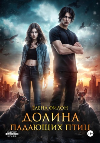 Обложка книги «Долина падающих птиц»