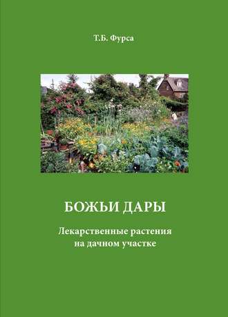 Обложка книги «Божьи дары. Лекарственные растения на дачном участке»
