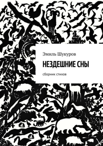 Обложка книги «Нездешние сны. Сборник стихов»
