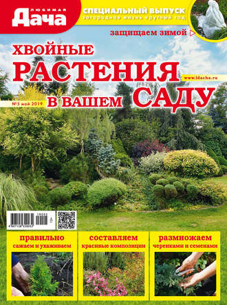 Обложка книги «Любимая дача. Спецвыпуск №05/2019. Хвойные растения в вашем саду»