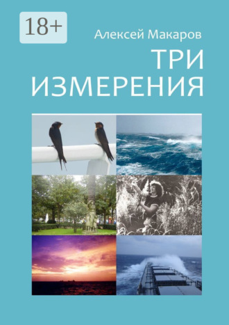 Алексей Владимирович Макаров. Три измерения. Сборник рассказов