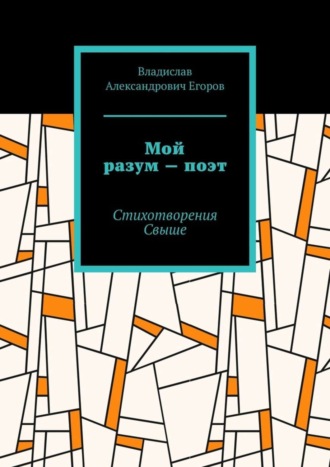 Владислав Александрович Егоров. Мой разум – поэт. Стихотворения Свыше