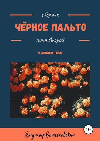 Обложка книги «Чёрное пальто. Я люблю тебя. Сборник стихотворений. Цикл второй»
