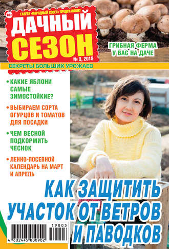 Обложка книги «Дачный сезон №03/2019»