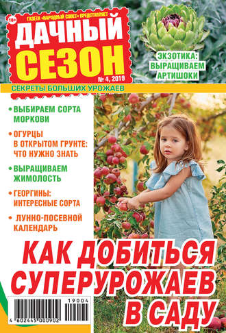 Обложка книги «Дачный сезон №04/2019»