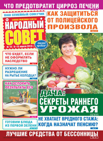 Обложка книги «Народный совет №16/2019»
