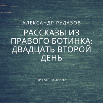 Обложка книги «Двадцать второй день»