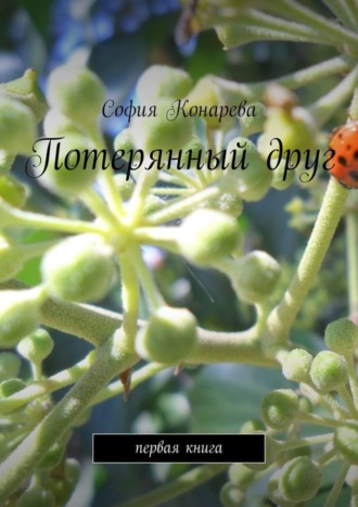 Обложка книги «Потерянный друг. Первая книга»