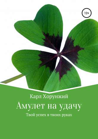 Обложка книги «Амулет на удачу. Твой успех в твоих руках»