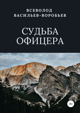 Обложка книги «Судьба офицера»