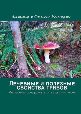 Александр Матанцев. Лечебные и полезные свойства грибов. Справочник-определитель по лечебным грибам