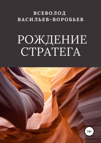 Обложка книги «Рождение стратега»