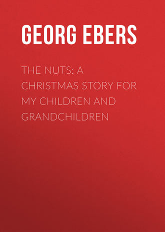 Обложка книги «The Nuts: A Christmas Story for my Children and Grandchildren»