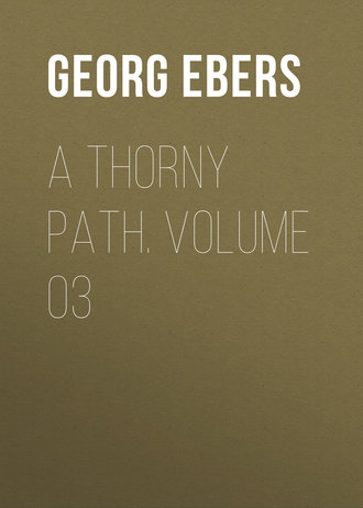 Обложка книги «A Thorny Path. Volume 03»