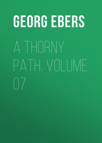 Обложка книги «A Thorny Path. Volume 07»