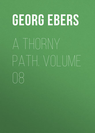Обложка книги «A Thorny Path. Volume 08»