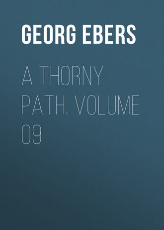 Обложка книги «A Thorny Path. Volume 09»
