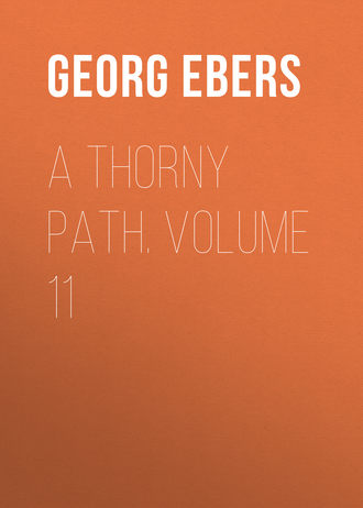 Обложка книги «A Thorny Path. Volume 11»