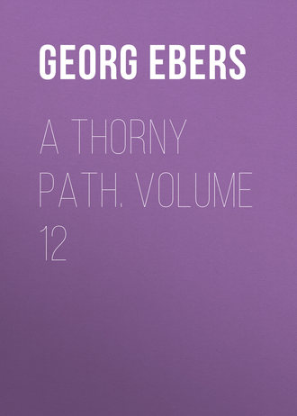 Обложка книги «A Thorny Path. Volume 12»
