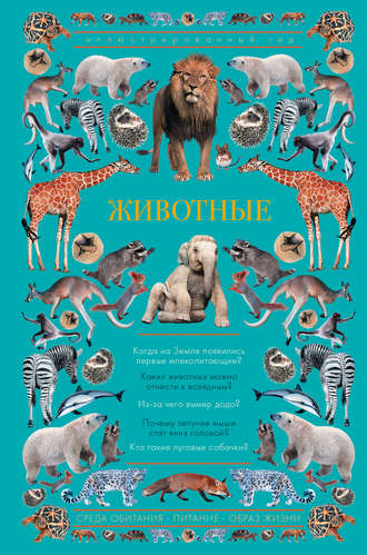 Обложка книги «Животные. Иллюстрированный гид»