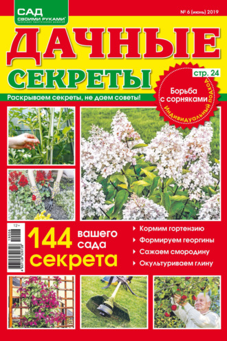 Обложка книги «Сад своими руками. Дачные секреты №06/2019»