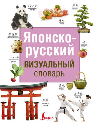 Обложка книги «Японско-русский визуальный словарь»
