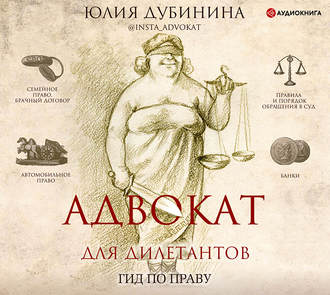 Обложка книги «Адвокат для дилетантов»