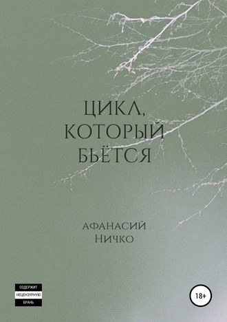 Обложка книги «Цикл, который бьётся»