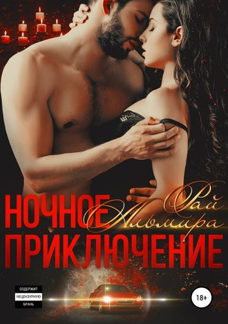 Обложка книги «Ночное приключение»