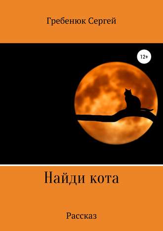 Обложка книги «Найди кота»