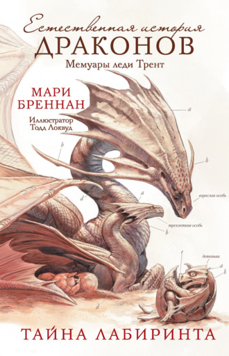 Обложка книги «Мемуары леди Трент: Тайна Лабиринта»