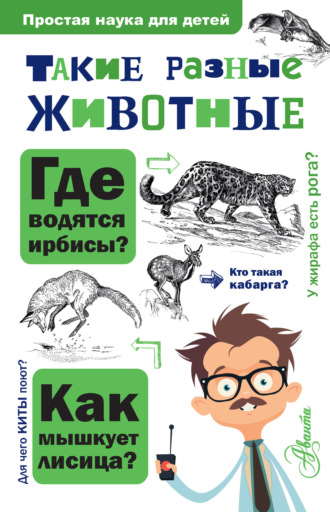 Обложка книги «Такие разные животные»