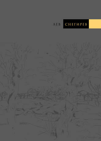 Обложка книги «Лев Снегирев»