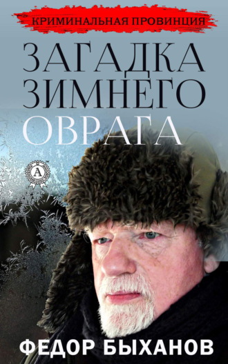 Обложка книги «Загадка зимнего оврага»