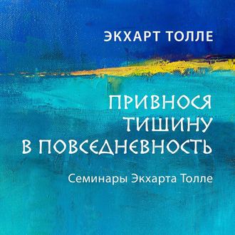 Обложка книги «Привнося тишину в повседневность»