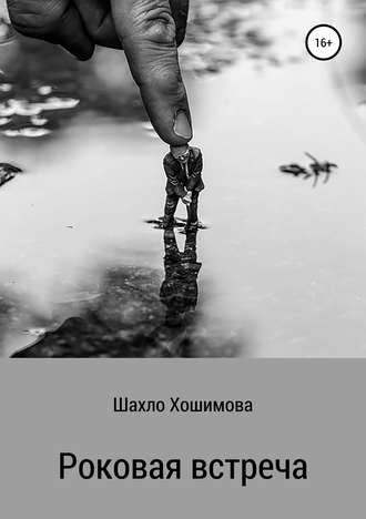 Обложка книги «Роковая встреча»