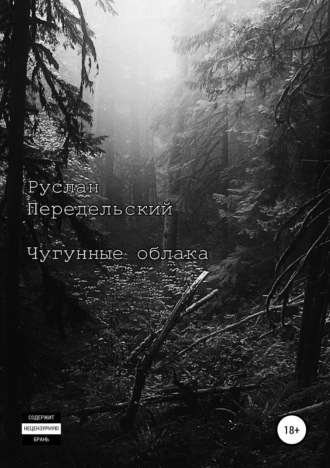 Обложка книги «Чугунные облака»