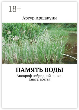 Обложка книги «Память воды. Апокриф гибридной эпохи. Книга третья»