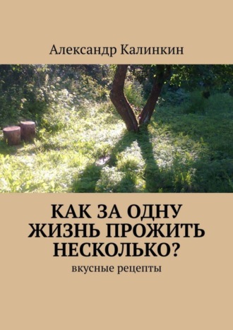 Александр Николаевич Калинкин. Как за одну жизнь прожить несколько? Вкусные рецепты