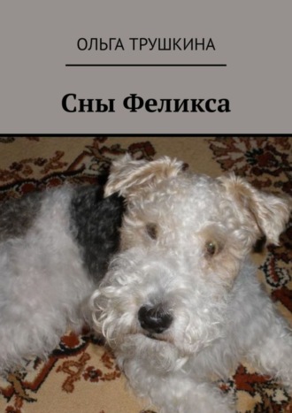 Обложка книги «Сны Феликса»