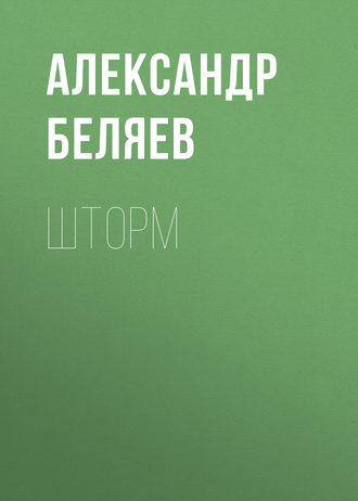 Обложка книги «Шторм»
