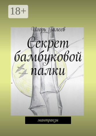 Обложка книги «Секрет бамбуковой палки. мантракзы»