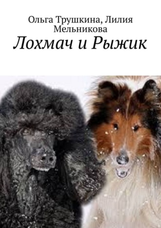 Обложка книги «Лохмач и Рыжик»