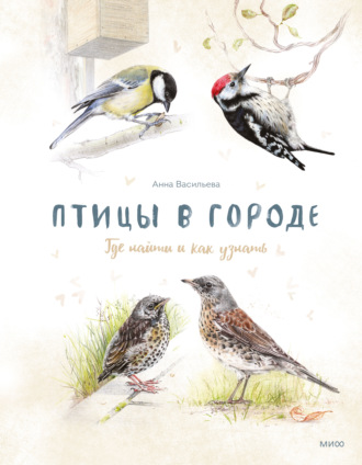 Обложка книги «Птицы в городе. Где найти и как узнать»